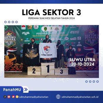 LIGA SEKTOR 3 PERDANA SULAWESI SELATAN