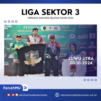 LIGA SEKTOR 3 PERDANA SULAWESI SELATAN